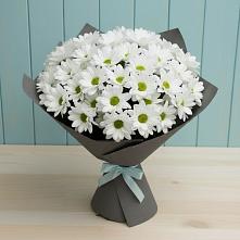 Букет цветов из:  Хризантемы в Красногвардейском Республика Крым