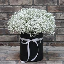 Цветочная композиция из Гипсофила в шляпной коробке #REPLACE_PRED# Красногвардейском Республика Крым